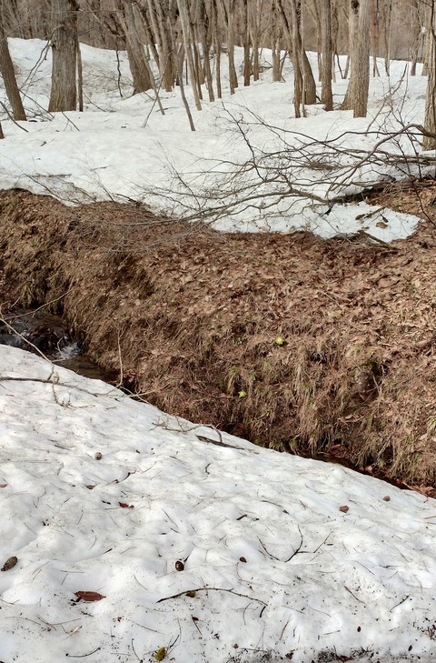 IMG_20250404_161537957_HDR~2