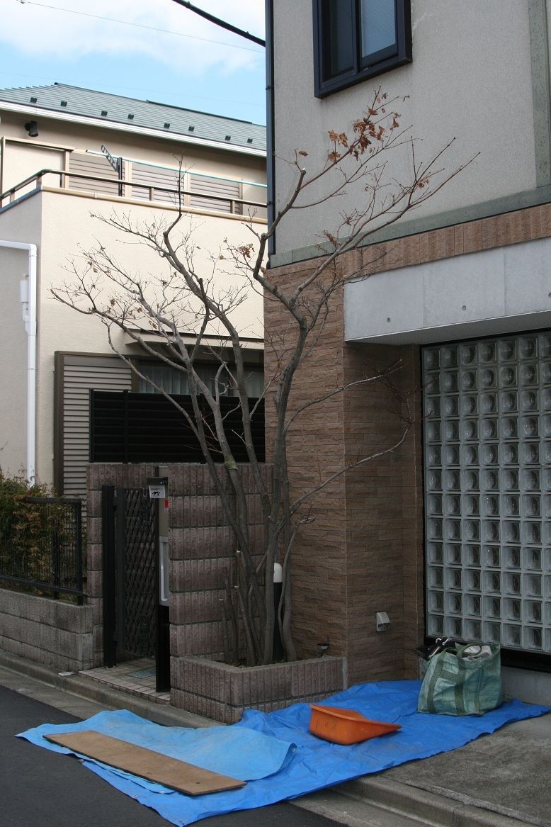 狭い庭の限界に挑む 玄関周り植栽ます編 田中 哲のブログ 狭い庭の限界に挑む 玄関周り植栽ます編 田中 哲のブログ