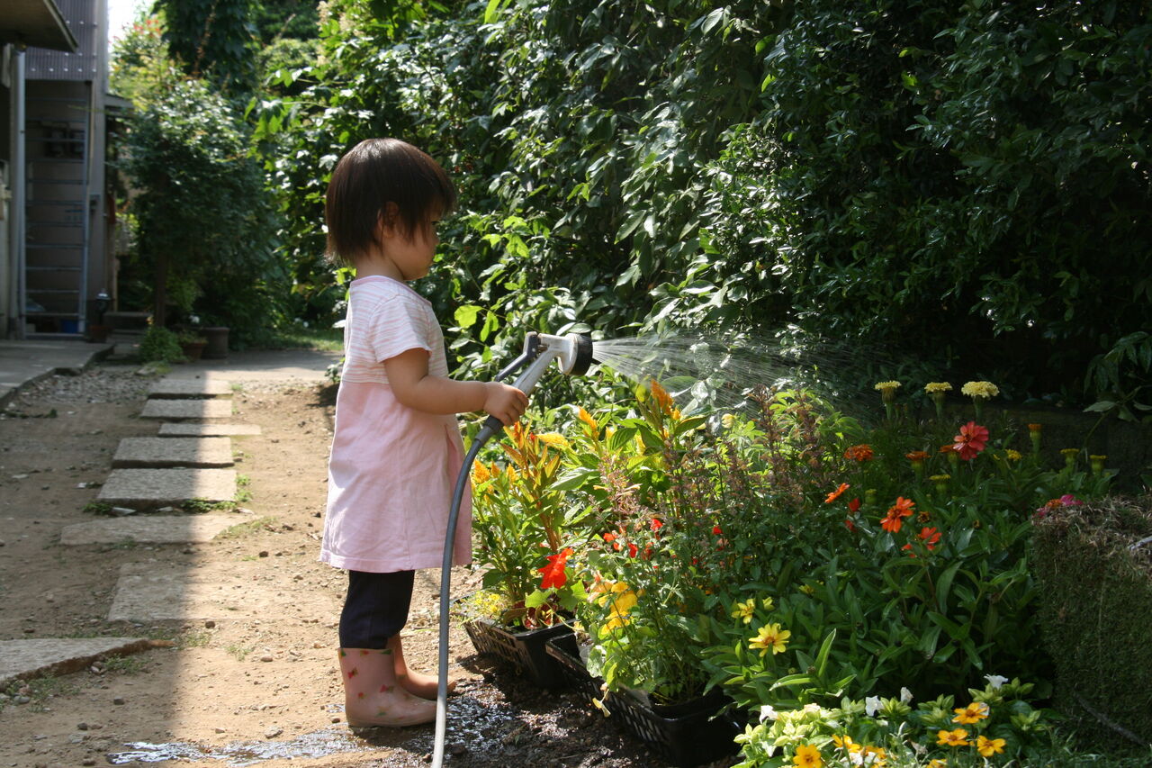 植物の生育を左右する花壇や庭木の土づくり 田中 哲のブログ