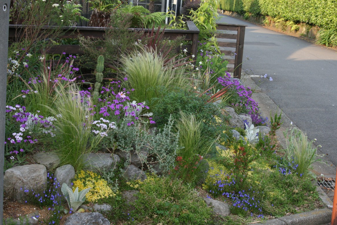 ディクソニアの植栽と花壇 田中 哲のブログ