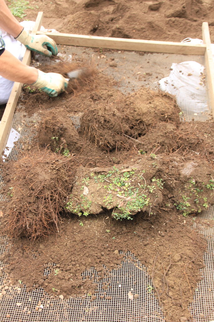 植物の生育を左右する花壇や庭木の土づくり 田中 哲のブログ 植物の生育を左右する花壇や庭木の土づくり 田中 哲のブログ
