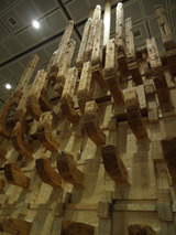 d0077efe.jpg