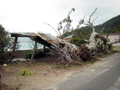 台風4号被害