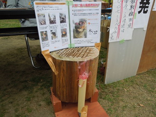 DSCN5501