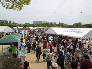 DSCN5459