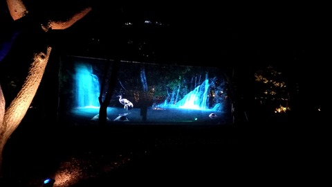 20201014_190512