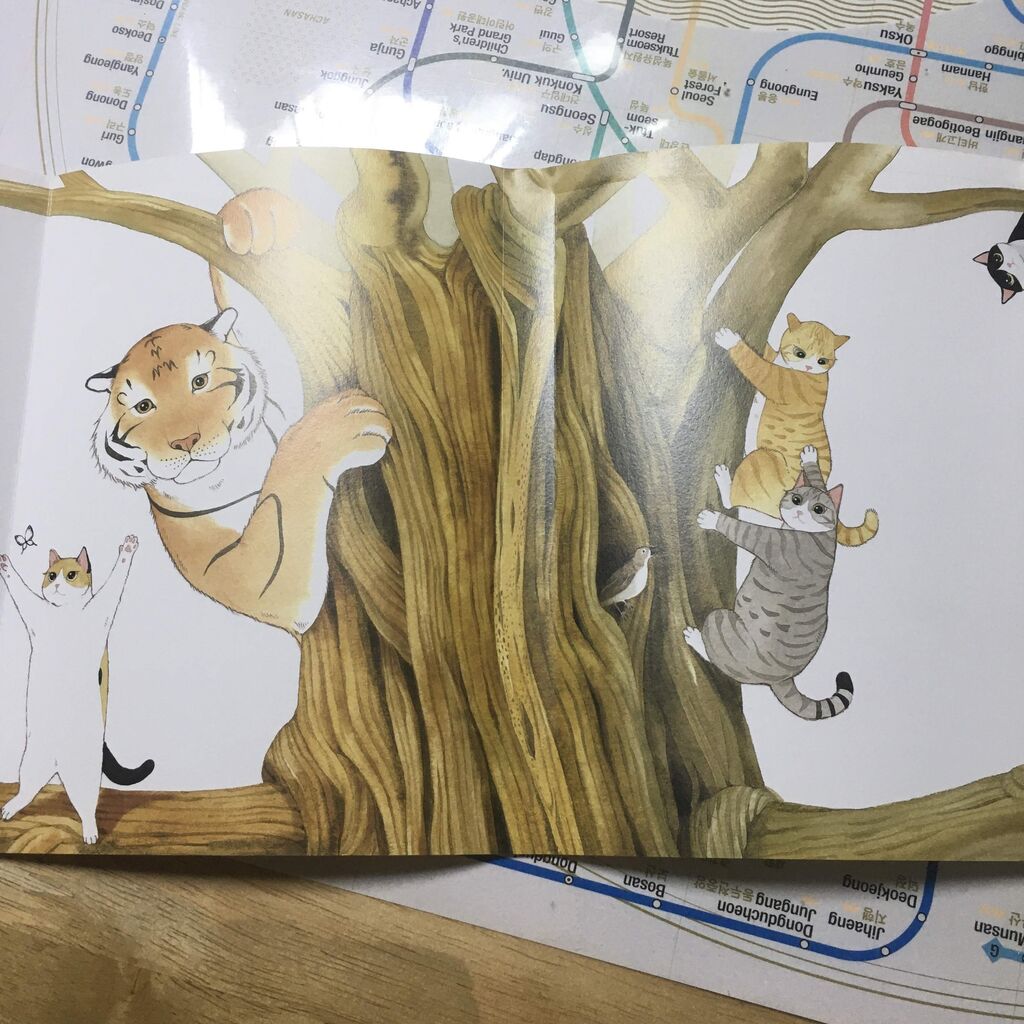 韓国書籍 かわいい猫たちがたくさん出てくるイラスト本 호찌냥찌 ソウルのゲストハウス アジトゲストハウス