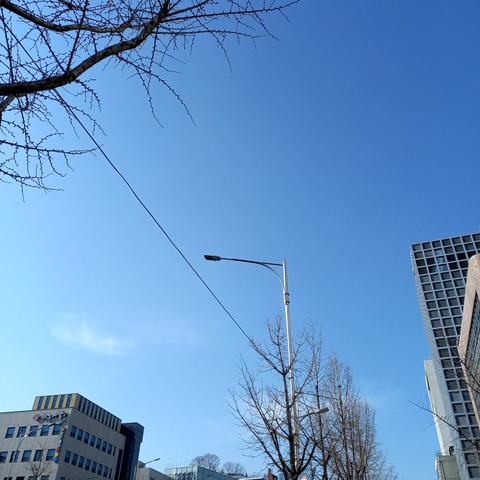 20210220_153139