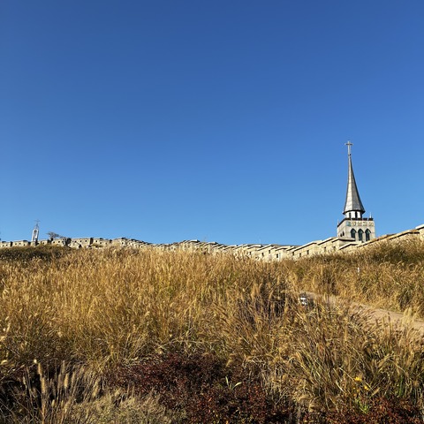 IMG_9575