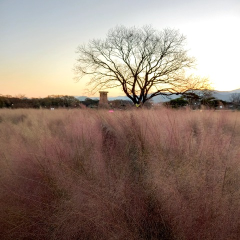 20201123_170139