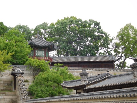 DSCN2839