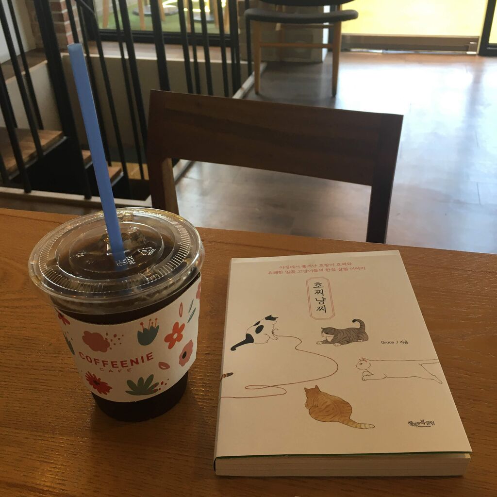 韓国書籍 かわいい猫たちがたくさん出てくるイラスト本 호찌냥찌 ソウルのゲストハウス アジトゲストハウス 韓国書籍 かわいい猫たちがたくさん出てくるイラスト本 호찌냥찌 ソウルのゲストハウス アジトゲストハウス