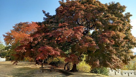 20201105_141953