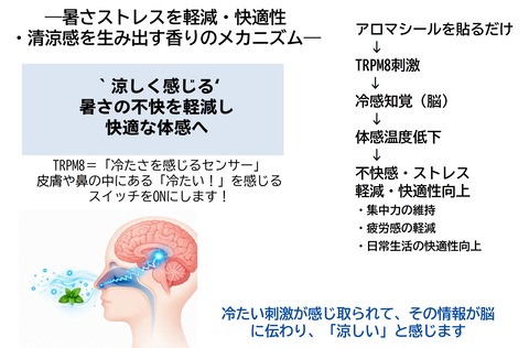 冷感作用