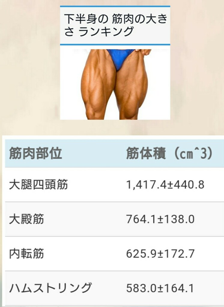 大筋郡を鍛えよう 美和ちん道中