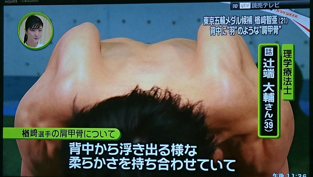 立甲 肩甲骨を立てる 美和ちん道中 立甲 肩甲骨を立てる 美和ちん道中