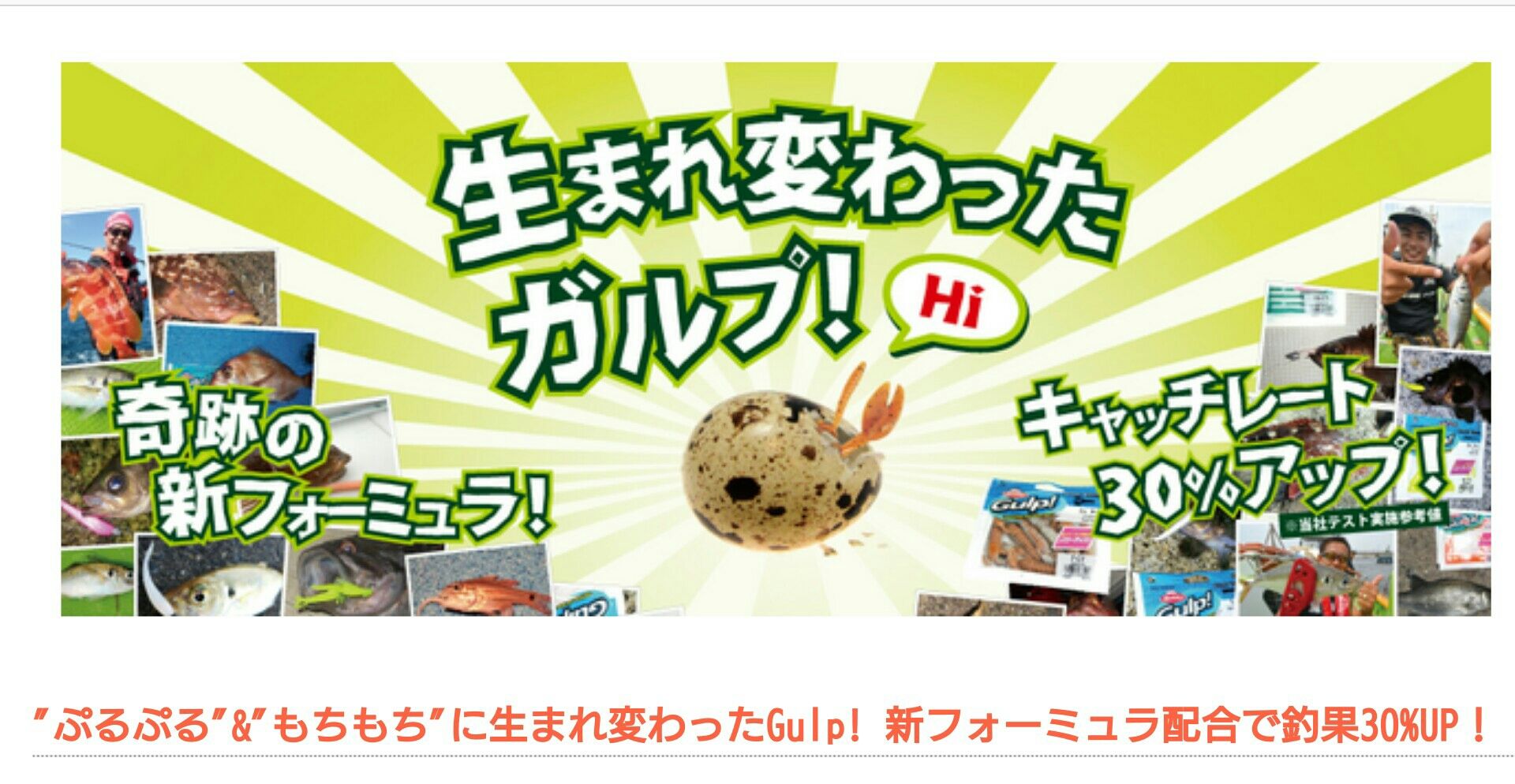 ガルプ サンドワーム テスト釣り アグネス船長の釣行記