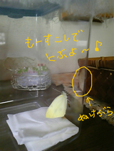 乾かし中・・・