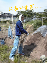 畑の管理人?