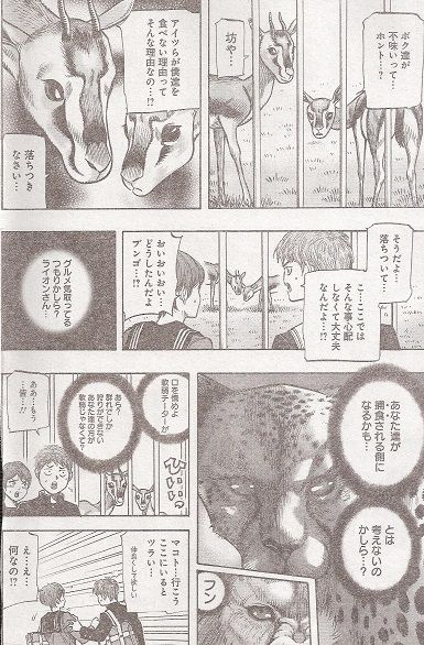 野球漫画のブンゴのネタバレ感想とコラ画像 漫画ネタバレスリーブ 野球漫画のブンゴのネタバレ感想とコラ画像 漫画ネタバレスリーブ