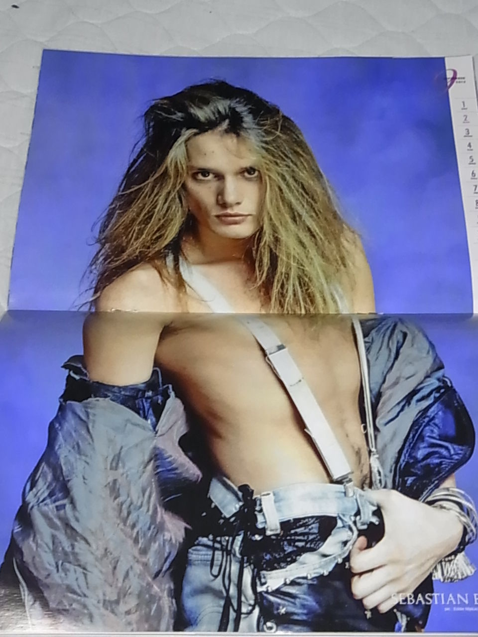 セバスチャン・バック サイン : 人生はROCKだ！って言えたらいいな～