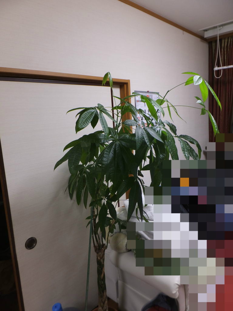 大きくなりすぎ 人生はｒｏｃｋだ って言えたらいいな