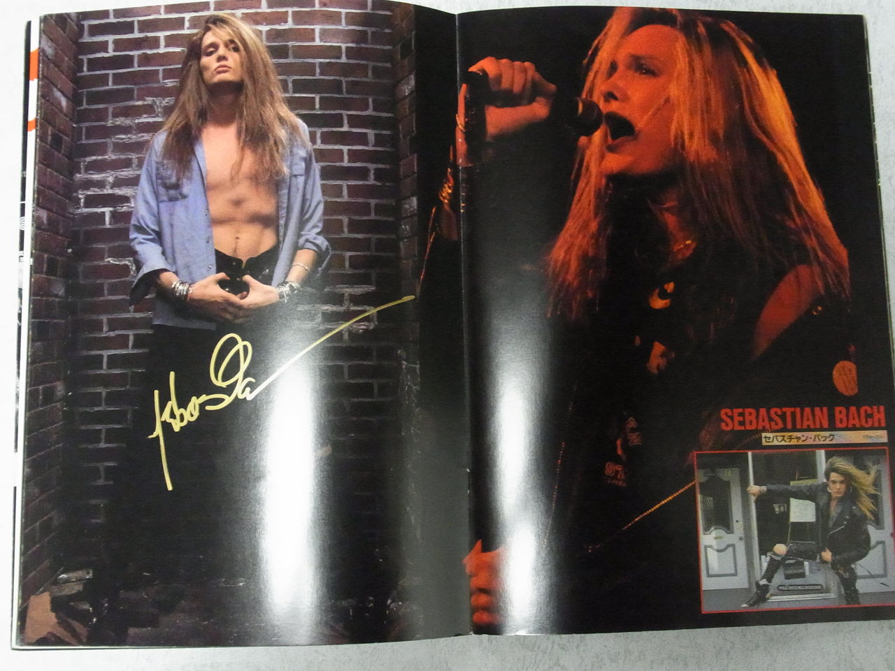 セバスチャン・バック サイン : 人生はROCKだ！って言えたらいいな～