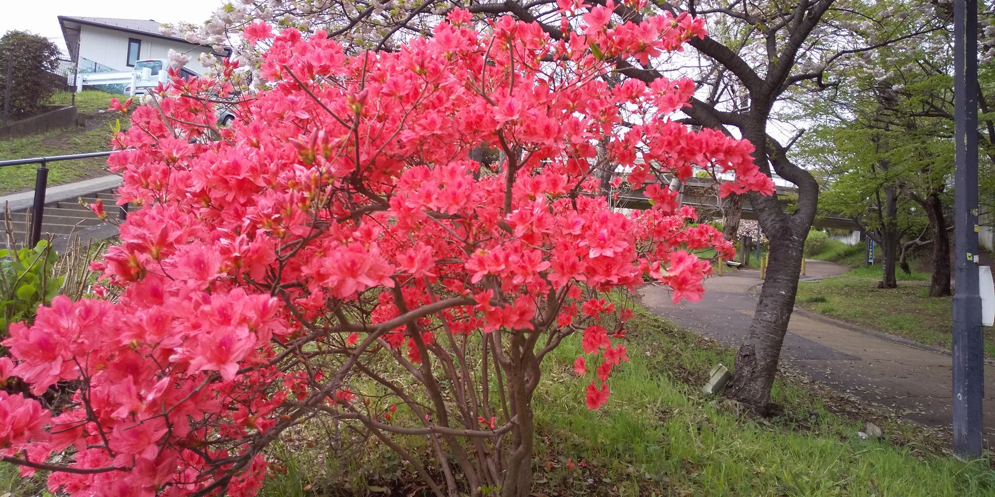 Tlih2qttwvtx1m Tlih2qttwvtx1m