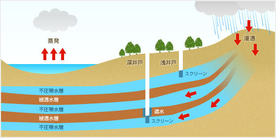 木村医学翻訳事務所