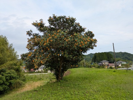 PXL_20250612_071754940