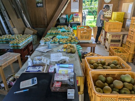 PXL_20240803_064426862.MP