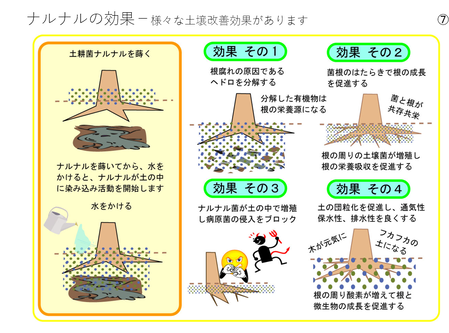 ¥¹¥¯¥ê¡¼¥ó¥·¥ç¥Ã¥È 2025-05-11 141417