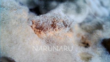 WIN_20250102_15_04_58_Pro