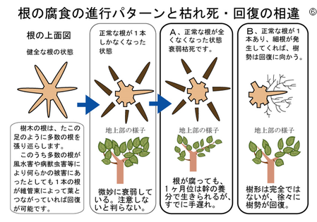 �����꡼�󥷥�å� 2025-03-11 180947