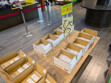 PXL_20250612_060433439.MP