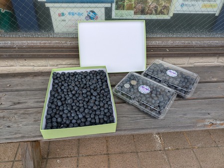 PXL_20240714_063531126