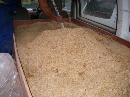 ijh005