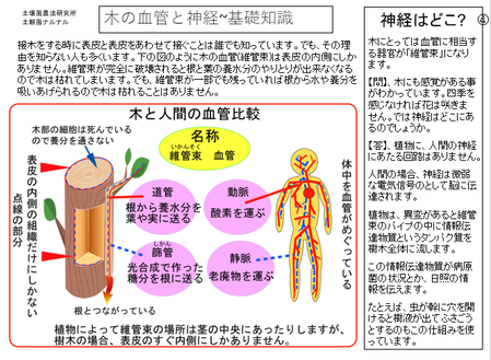 �����꡼�󥷥�å� 2025-03-11 175032