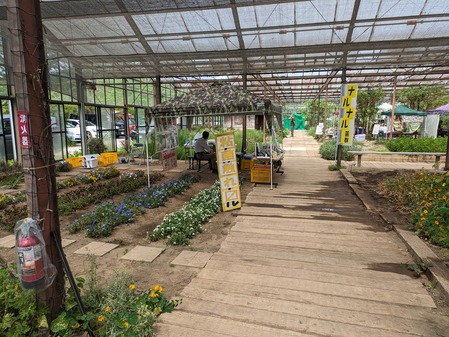 PXL_20240429_013417651