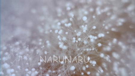 WIN_20250102_15_07_03_Pro