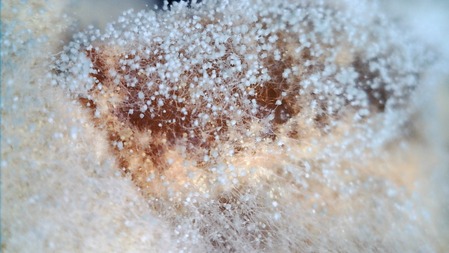 WIN_20250102_15_05_10_Pro