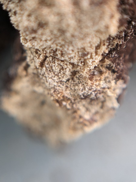 PXL_20240429_022908102