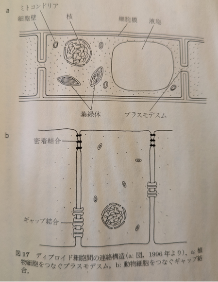 ¥¹¥¯¥ê¡¼¥ó¥·¥ç¥Ã¥È 2025-03-09 201244