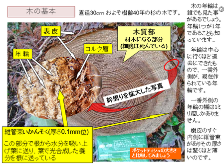 �����꡼�󥷥�å� 2025-03-11 174807