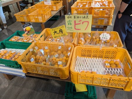 PXL_20250612_060512875