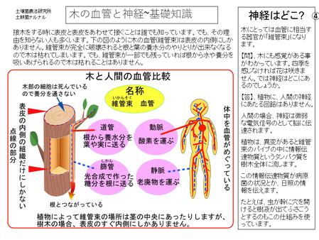 ¥¹¥¯¥ê¡¼¥ó¥·¥ç¥Ã¥È 2025-05-11 141228