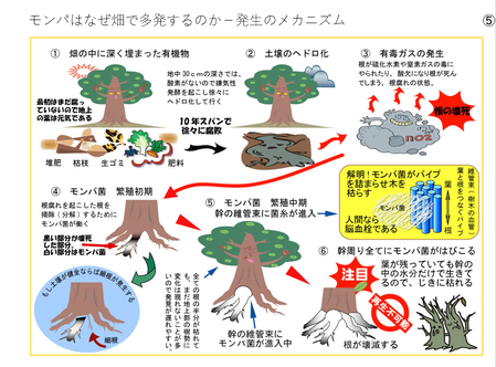 ¥¹¥¯¥ê¡¼¥ó¥·¥ç¥Ã¥È 2025-05-11 141248