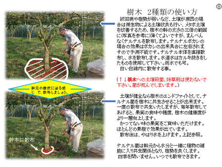 �����꡼�󥷥�å� 2025-03-11 181806