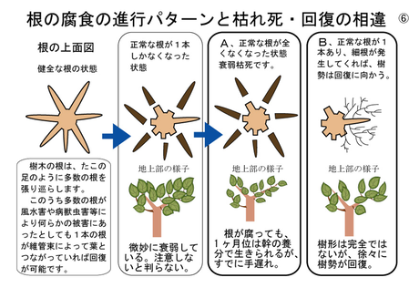 ¥¹¥¯¥ê¡¼¥ó¥·¥ç¥Ã¥È 2025-05-11 141336