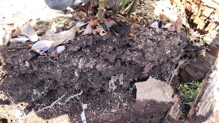 HORIZON_0001_BURST20220406141350027_COVER